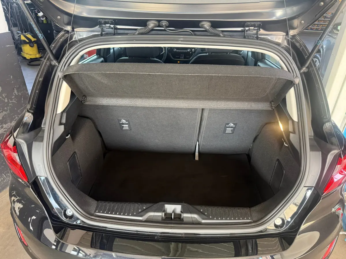 1.0 EcoBoost Hybrid Titanium, Apple Carplay/Android,Stoelverwarming,Stuurverwarming,Navigatie