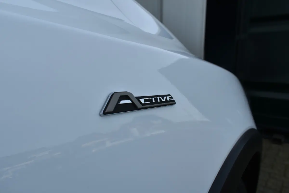 1.0 EcoBoost Active Business