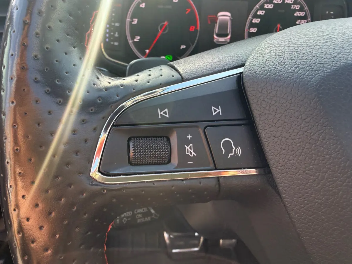 1.5 TSI FR Business Intense, Apple Carplay/Android,Stoelverwarming,Panoramadak,Achteruitrij camera