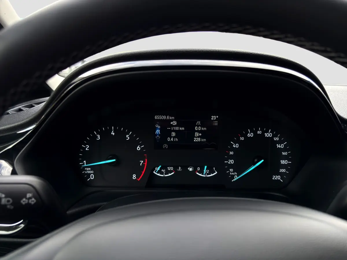 1.0 Hybrid Titanium | Winterpack | Cruise control | CarPlay | Radio |