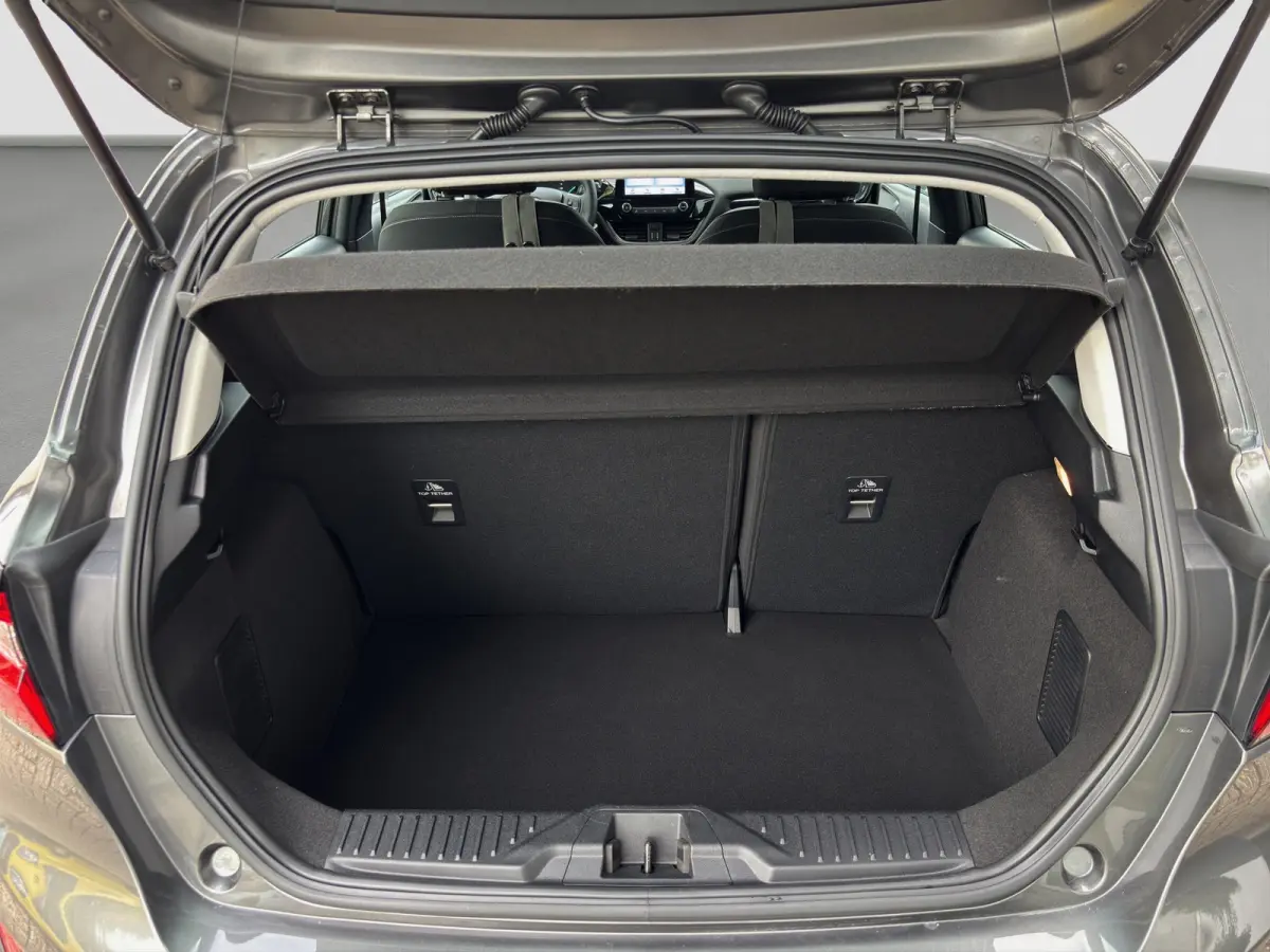 1.0 Hybrid Titanium | Winterpack | Cruise control | CarPlay | Radio |