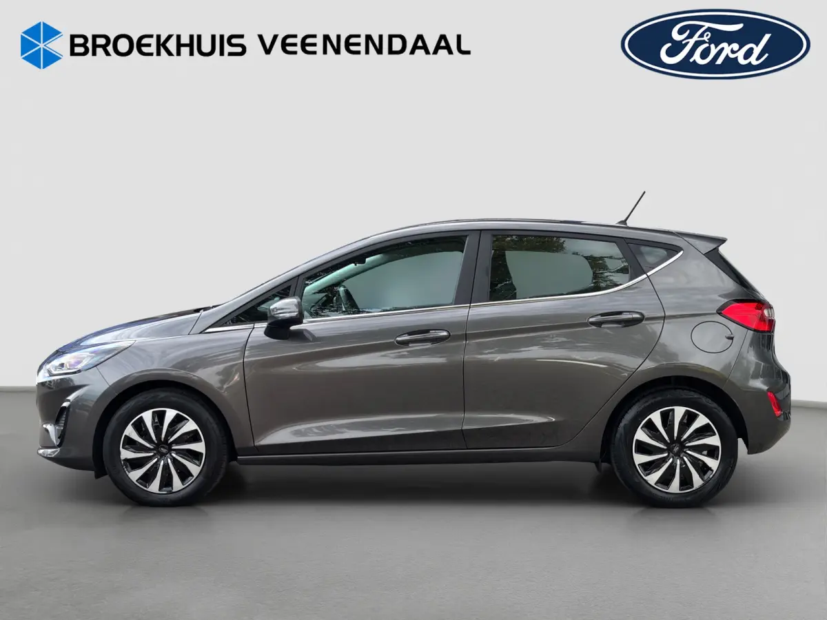 1.0 Hybrid Titanium | Winterpack | Cruise control | CarPlay | Radio |