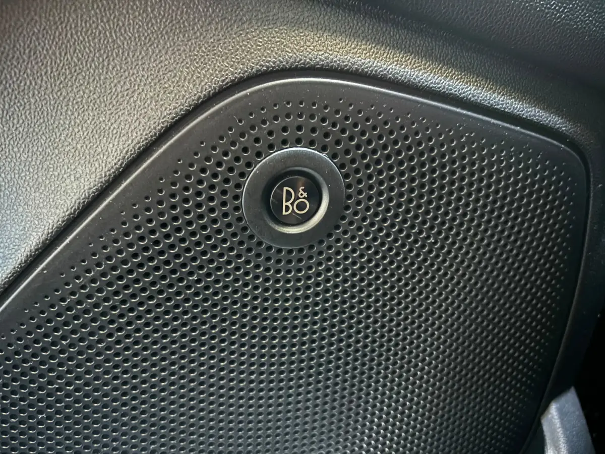 1.0 EcoBoost Active X panorama keyless vol opties