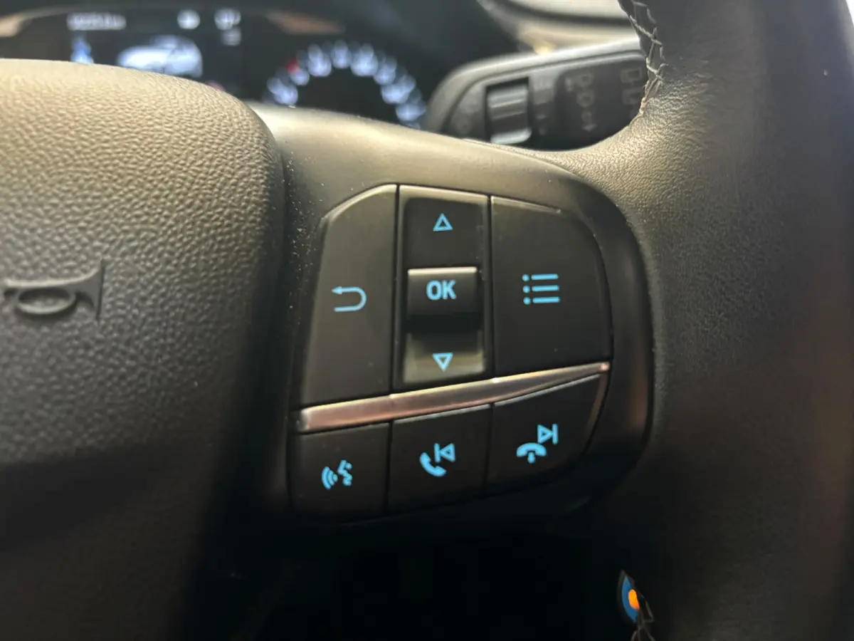 1.0 EcoBoost Active X panorama keyless vol opties