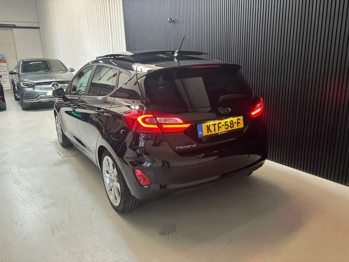 1.0 EcoBoost Active X panorama keyless vol opties