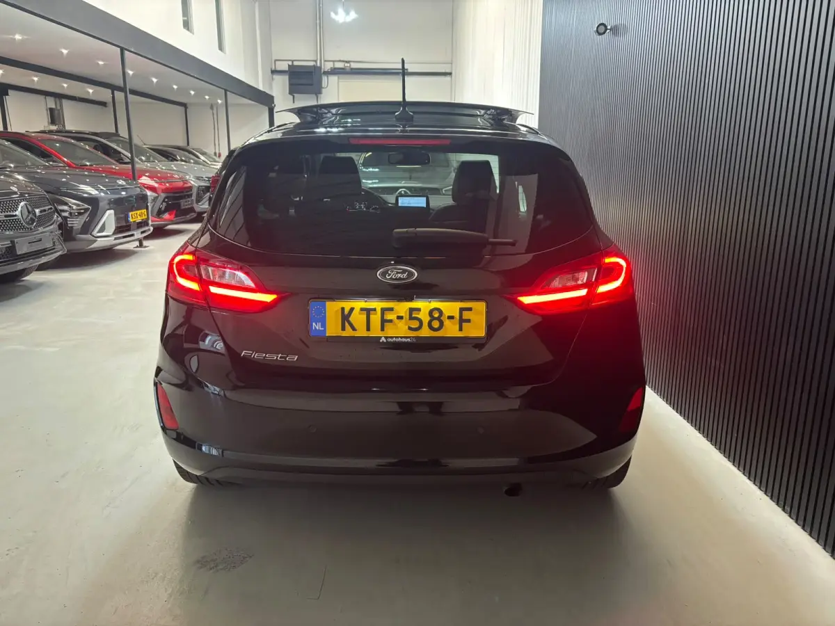 1.0 EcoBoost Active X panorama keyless vol opties