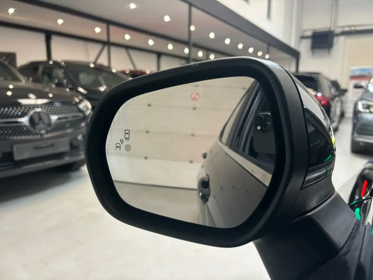 1.0 EcoBoost Active X panorama keyless vol opties