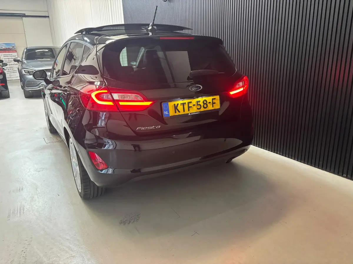 1.0 EcoBoost Active X panorama keyless vol opties