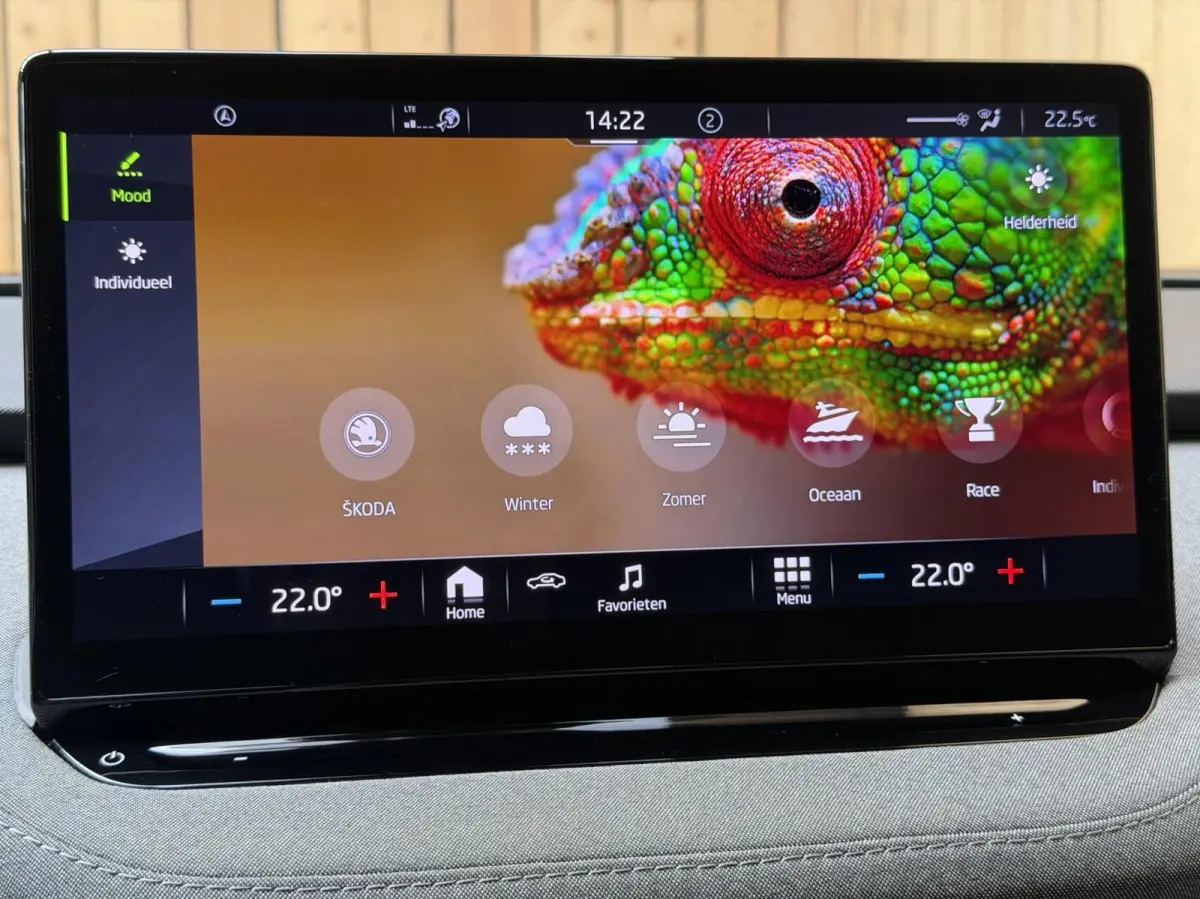 80 Adaptieve cruise control | Apple CarPlay/Android Auto | Climate control | Getint glas| Keyless entry | LED verlichting | Elektrisch bedienbare achterklep | Stuurwiel verwarmd | Rondomzich