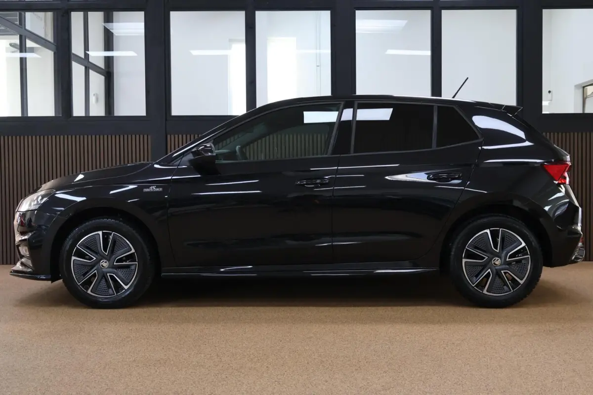 1.0 TSI Monte Carlo