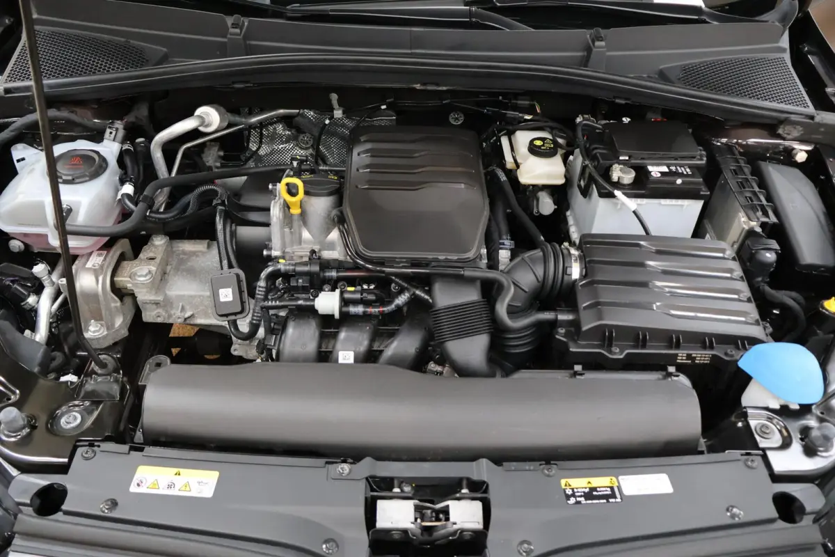 1.0 TSI Monte Carlo