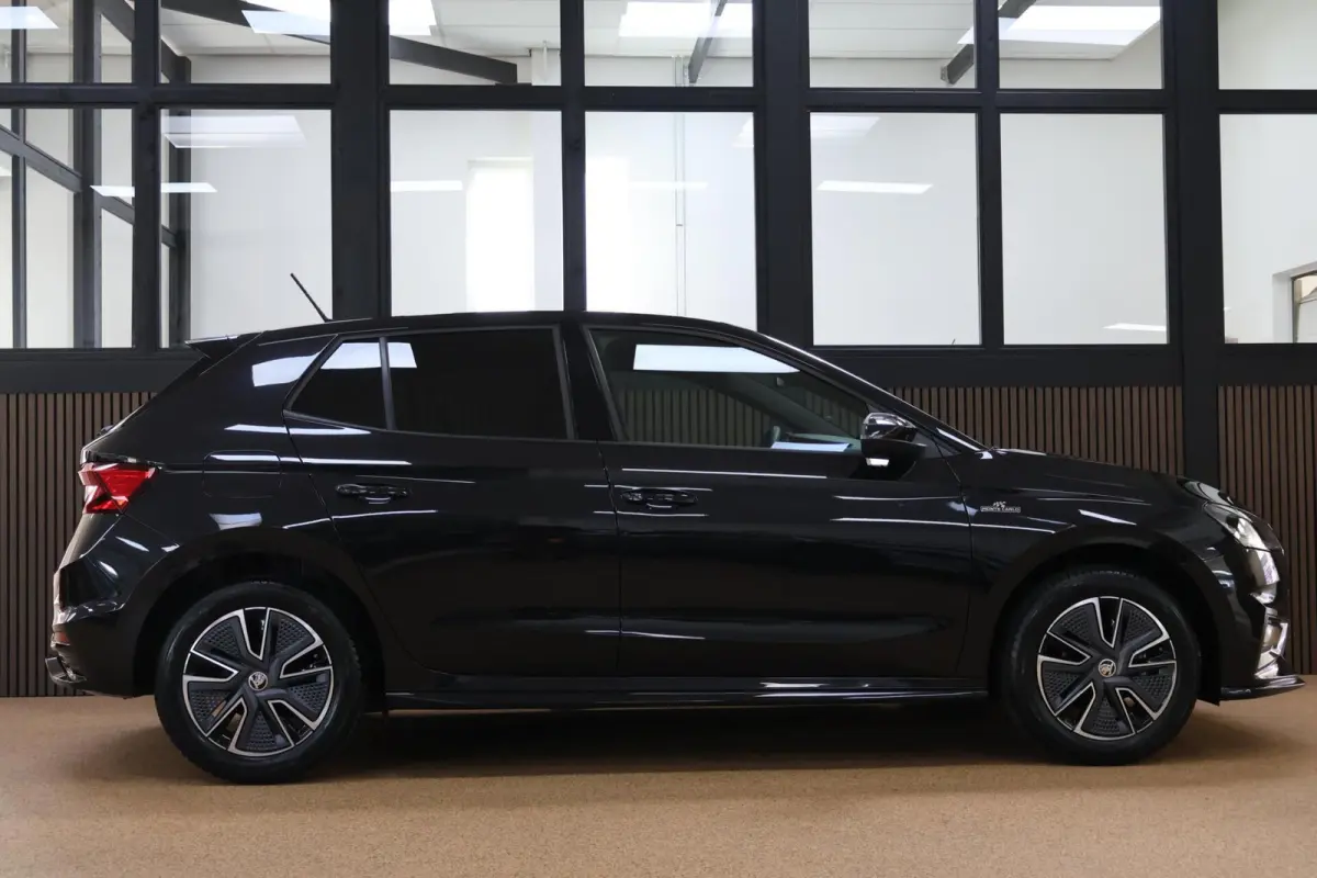 1.0 TSI Monte Carlo