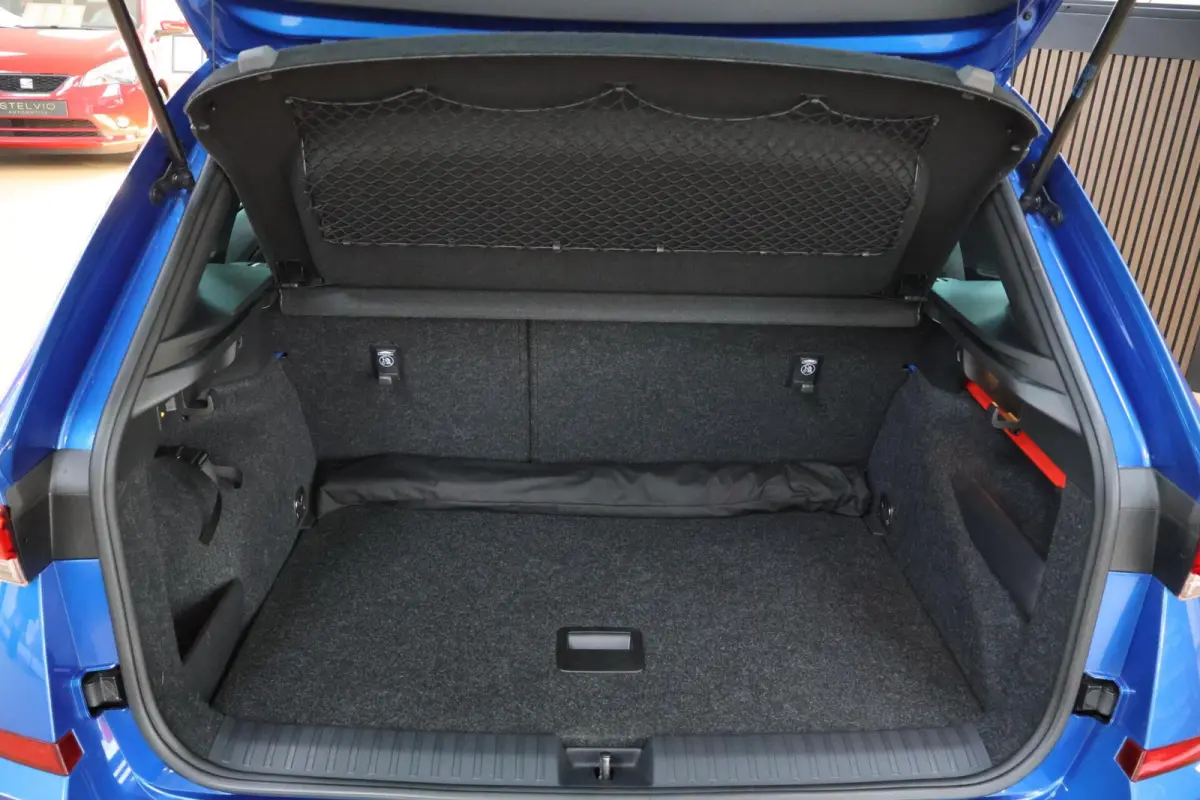 1.0 TSI Monte Carlo