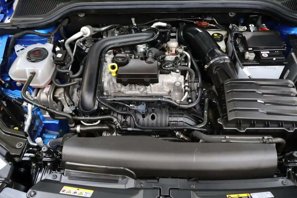 1.0 TSI Monte Carlo