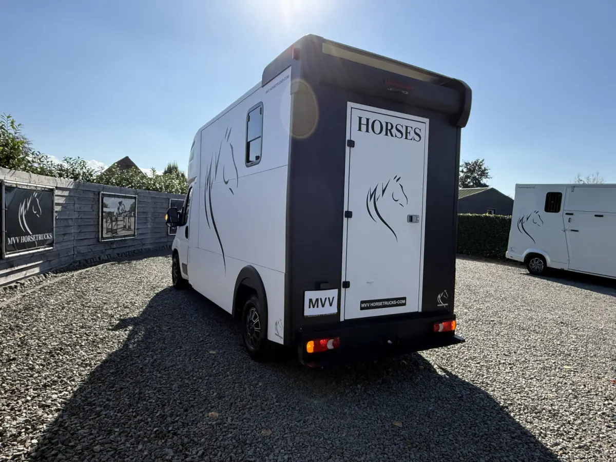 | HORSETRUCK | MSG STABLEHOPPER | COMPETITION 3XL | 2017 | 3-SEAT | 165PK | 116.479KM | L3 | NO VAT | MARGE |  | DUITS KENTEKEN