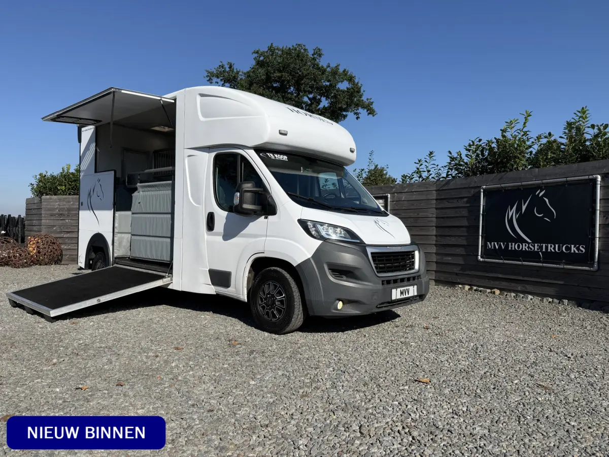 | HORSETRUCK | MSG STABLEHOPPER | COMPETITION 3XL | 2017 | 3-SEAT | 165PK | 116.479KM | L3 | NO VAT | MARGE |  | DUITS KENTEKEN
