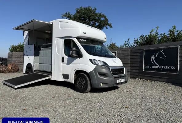 | HORSETRUCK | MSG | COMPETITION 3XL | 2017 | 3-SEAT | 165PK | 116.479KM | L3 | EURO 6 | NO VAT | MARGE   | DUITS KENTEKEN