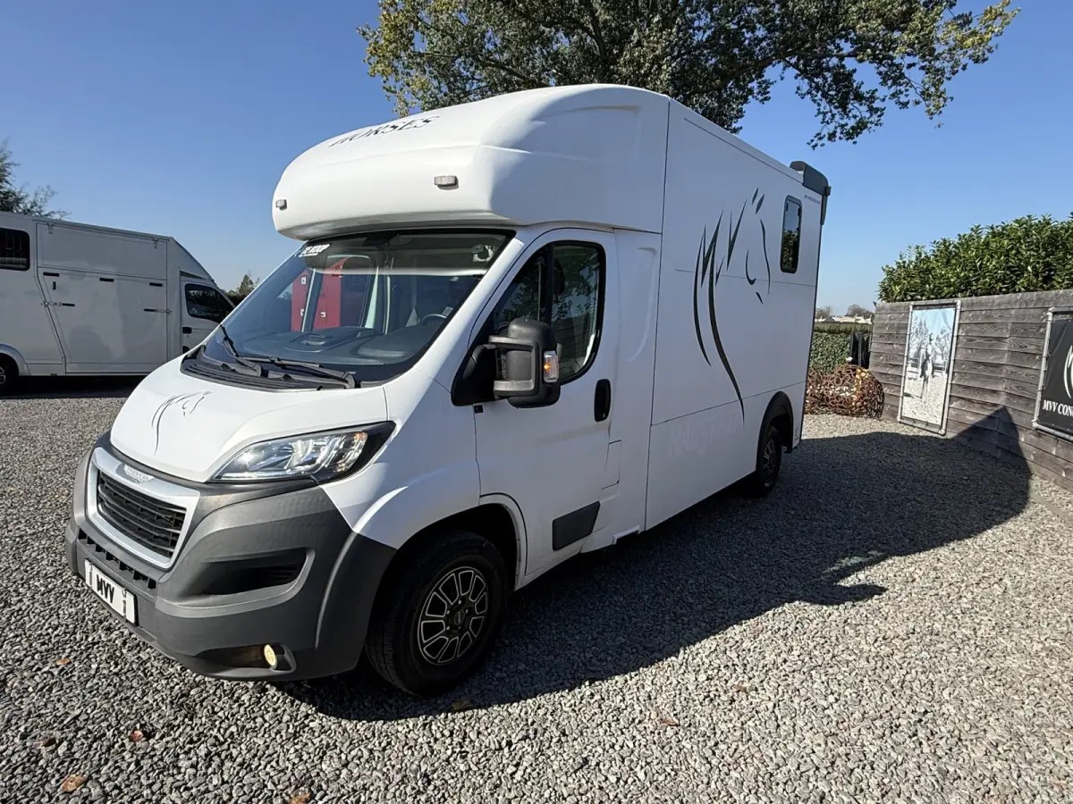 | HORSETRUCK | MSG STABLEHOPPER | COMPETITION 3XL | 2017 | 3-SEAT | 165PK | 116.479KM | L3 | NO VAT | MARGE |  | DUITS KENTEKEN