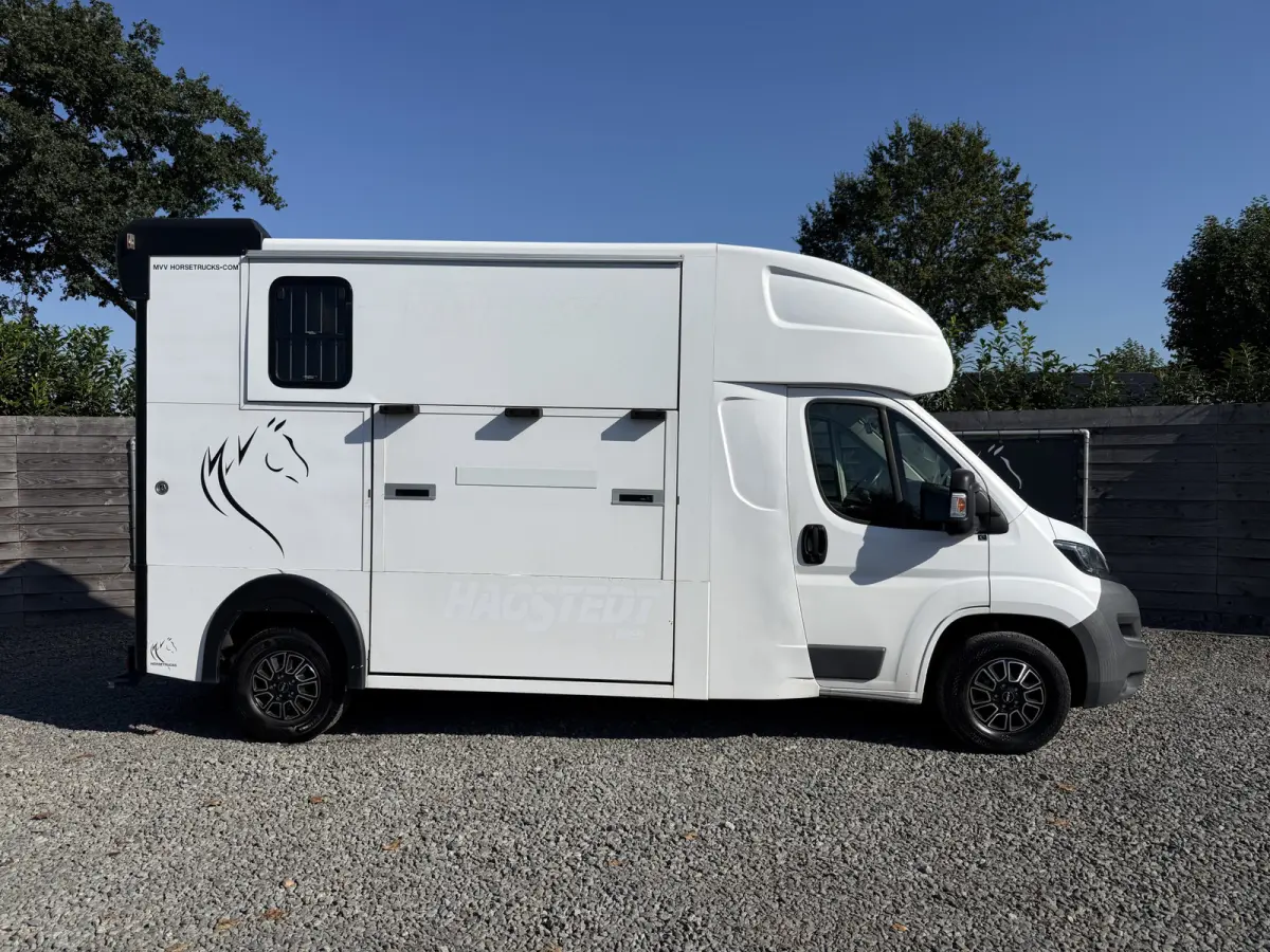 | HORSETRUCK | MSG STABLEHOPPER | COMPETITION 3XL | 2017 | 3-SEAT | 165PK | 116.479KM | L3 | NO VAT | MARGE |  | DUITS KENTEKEN
