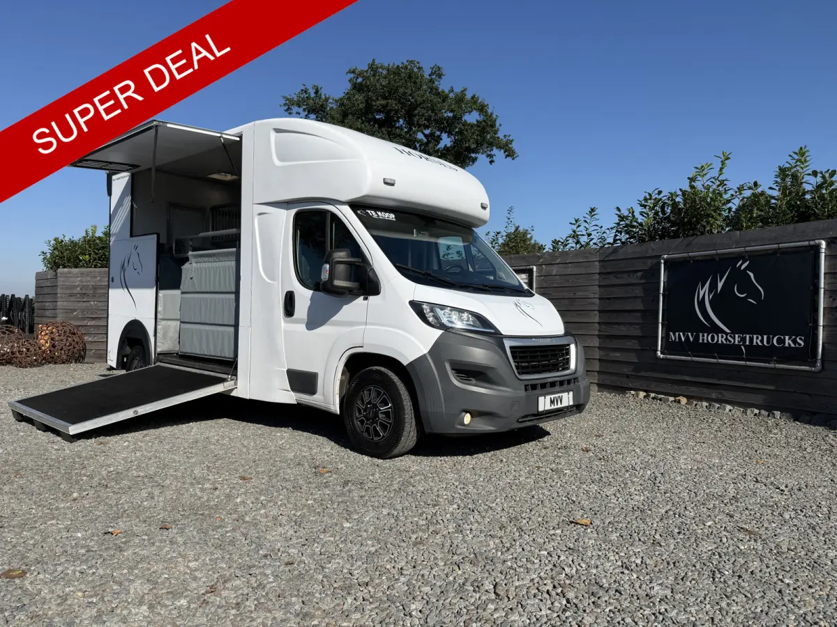 | HORSETRUCK | MSG | COMPETITION 3XL | 2017 | 3-SEAT | 165PK | 116.479KM | L3 | EURO 6 | NO VAT | MARGE   | DUITS KENTEKEN