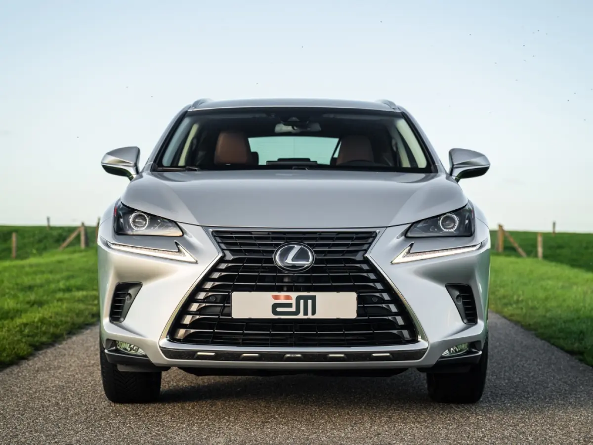 300h AWD Luxery Facelift Leder Adaptive Cruise etc.