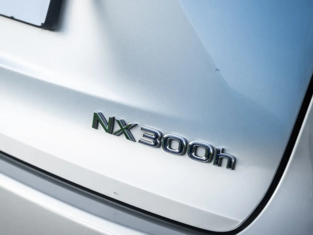 300h AWD Luxery Facelift Leder Adaptive Cruise etc.