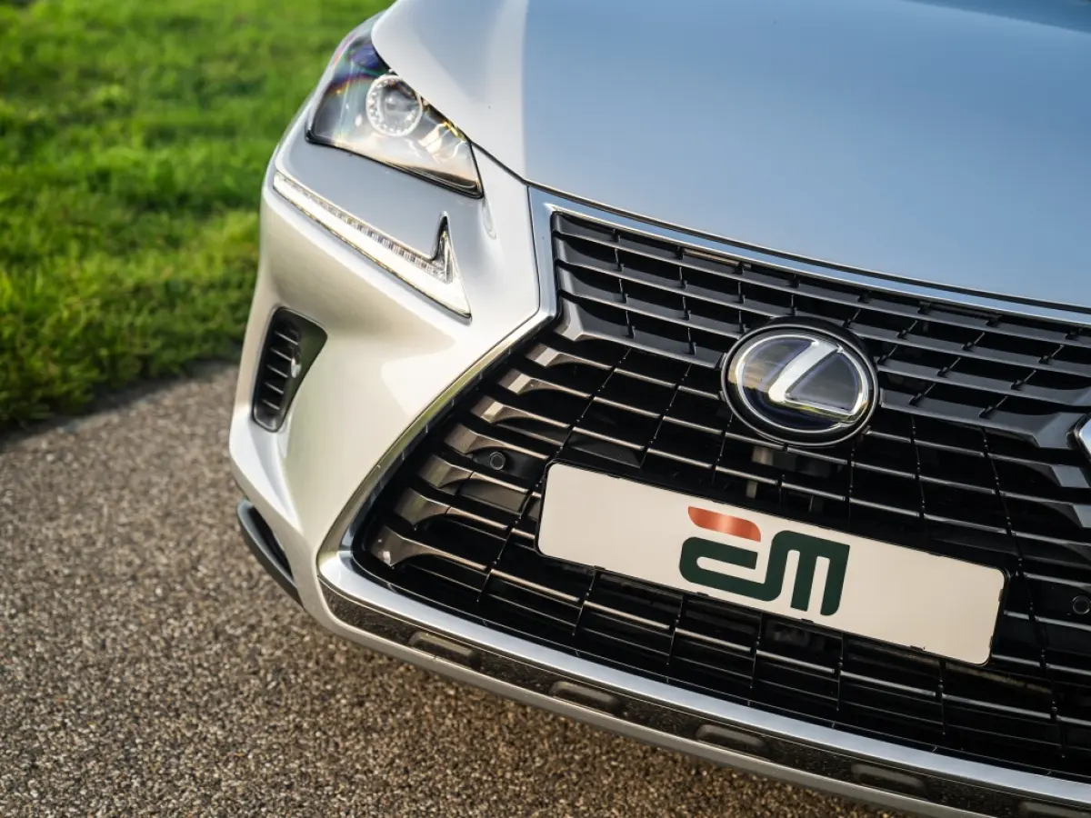 300h AWD Luxery Facelift Leder Adaptive Cruise etc.