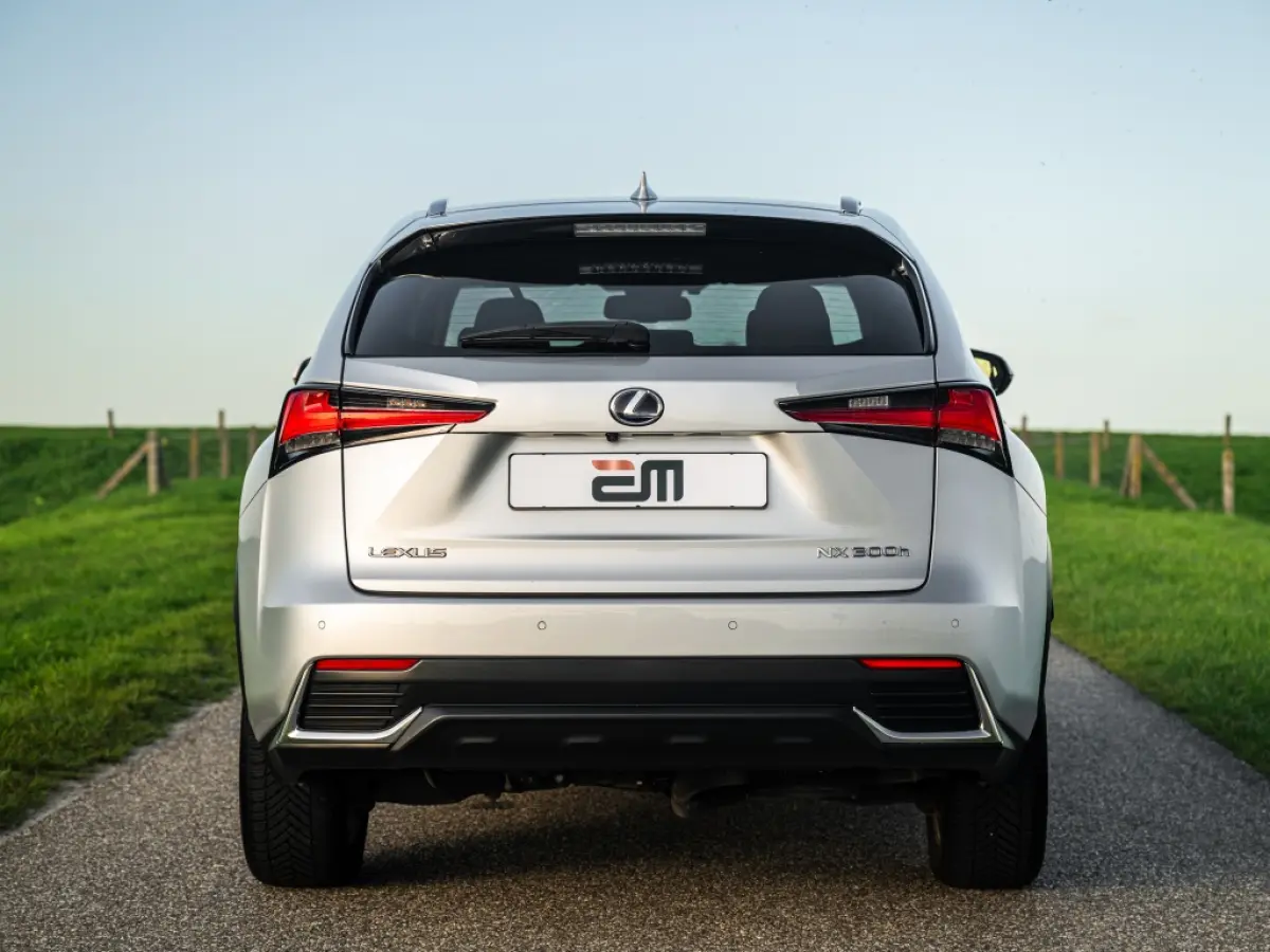 300h AWD Luxery Facelift Leder Adaptive Cruise etc.