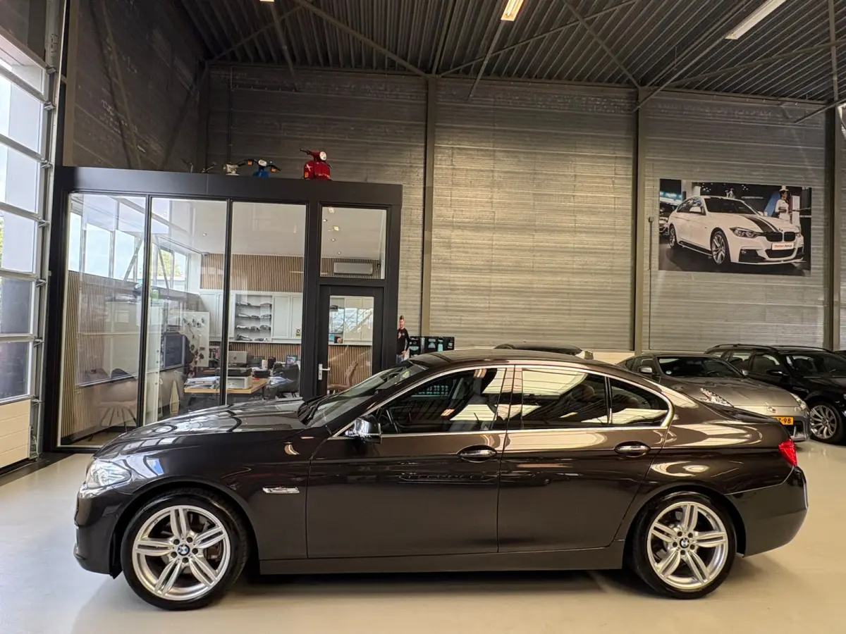 528xi Luxury Edition Camera, Leer, Elek Trekhaak