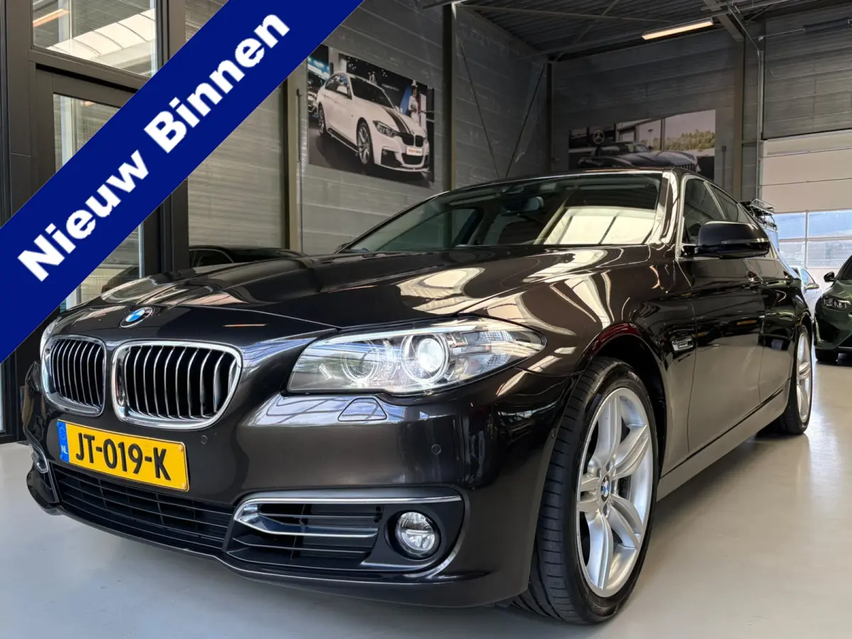 528xi Luxury Edition Camera, Leer, Elek Trekhaak
