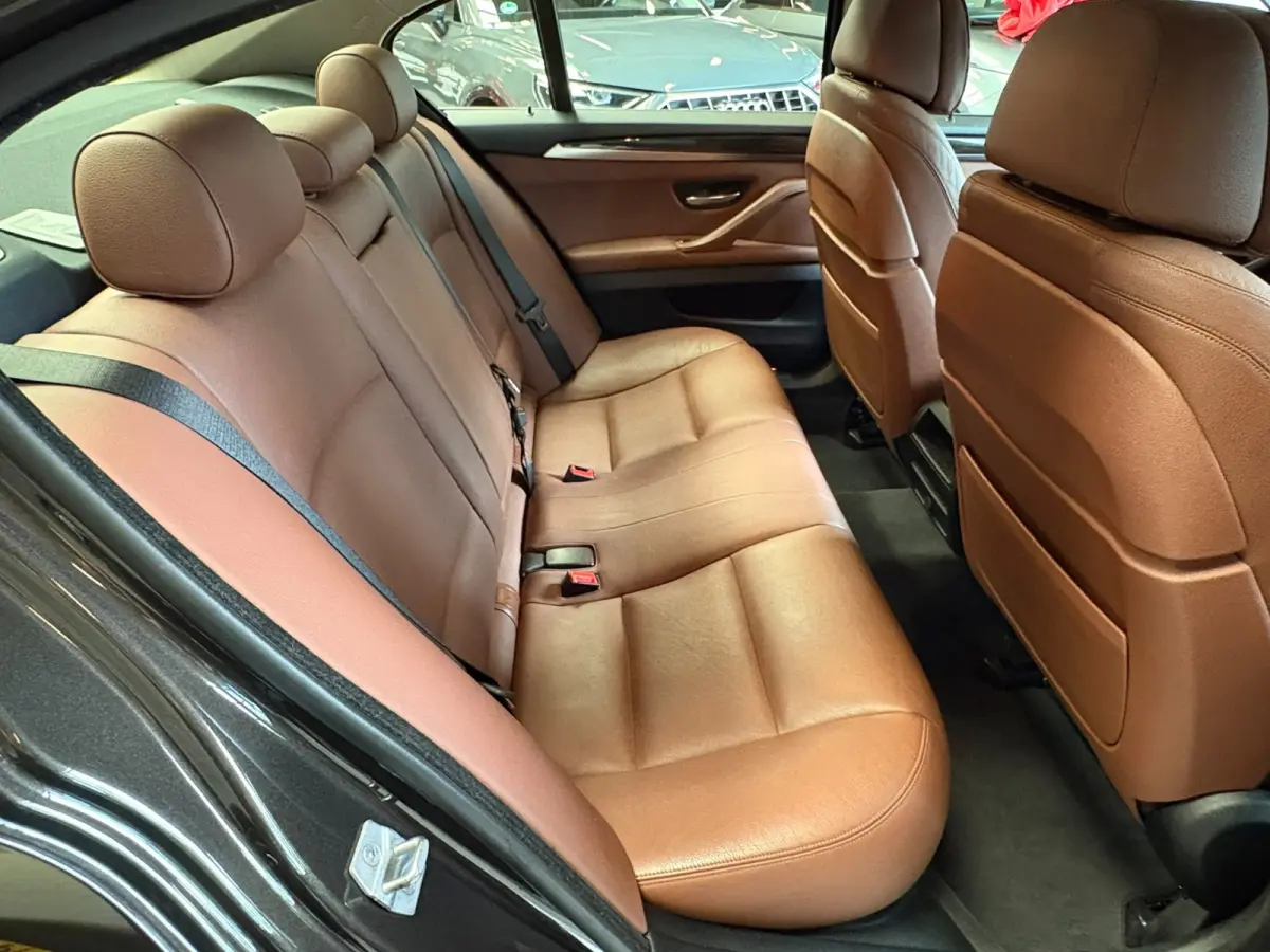 528xi Luxury Edition Camera, Leer, Elek Trekhaak