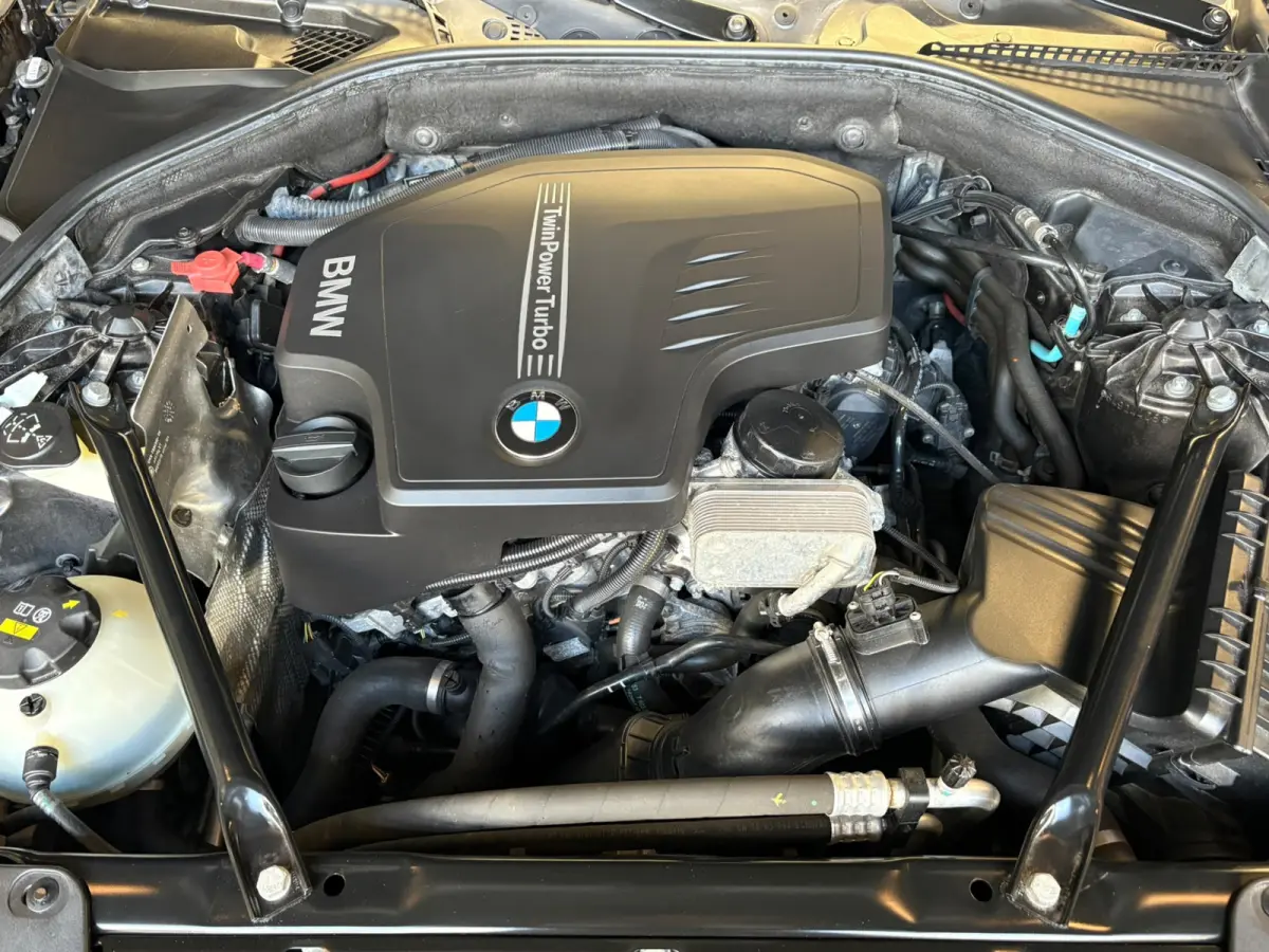 528xi Luxury Edition Camera, Leer, Elek Trekhaak