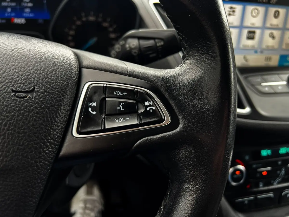 1.5 Titanium carplay_PDC_Cruise_Automaat_Trekhaak