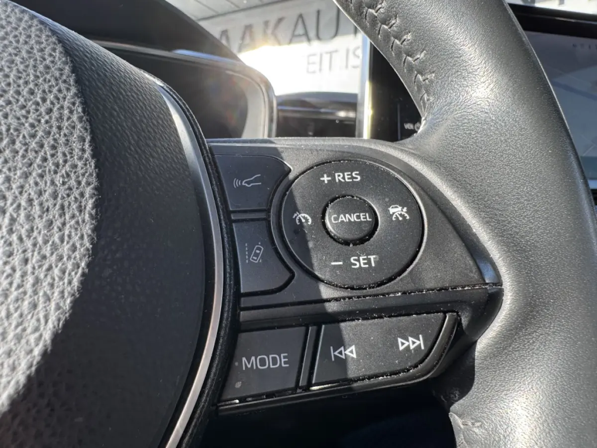 Hybrid 140 Active | Camera | Navi | Climate