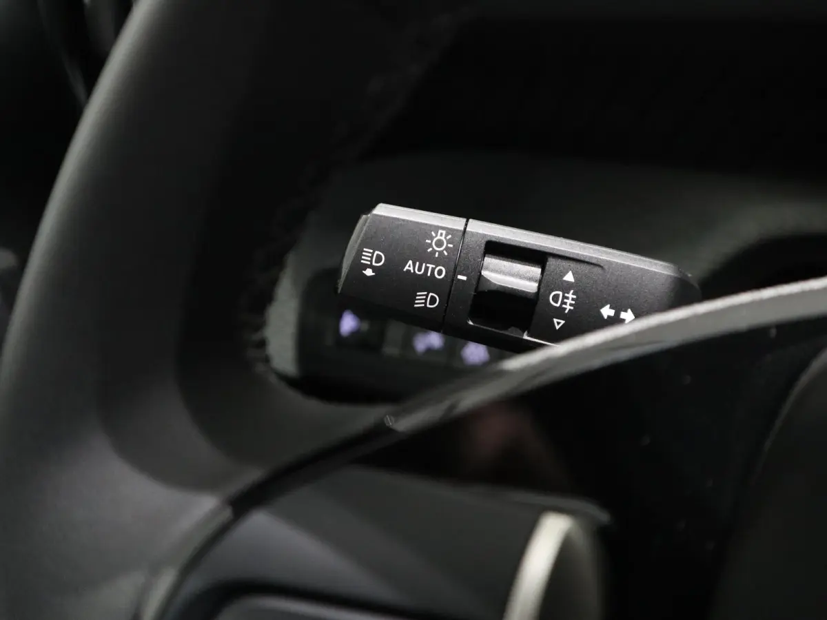 Max 113pk 44 kWh - CAMERA - GETINT GLAS - CLIMATE CONTROL
