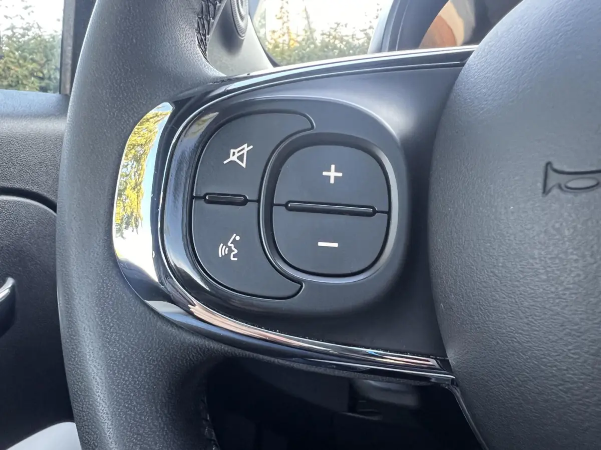 1.0 Hybrid Dolcevita Clima Cruise Pano 1e Eig NAP