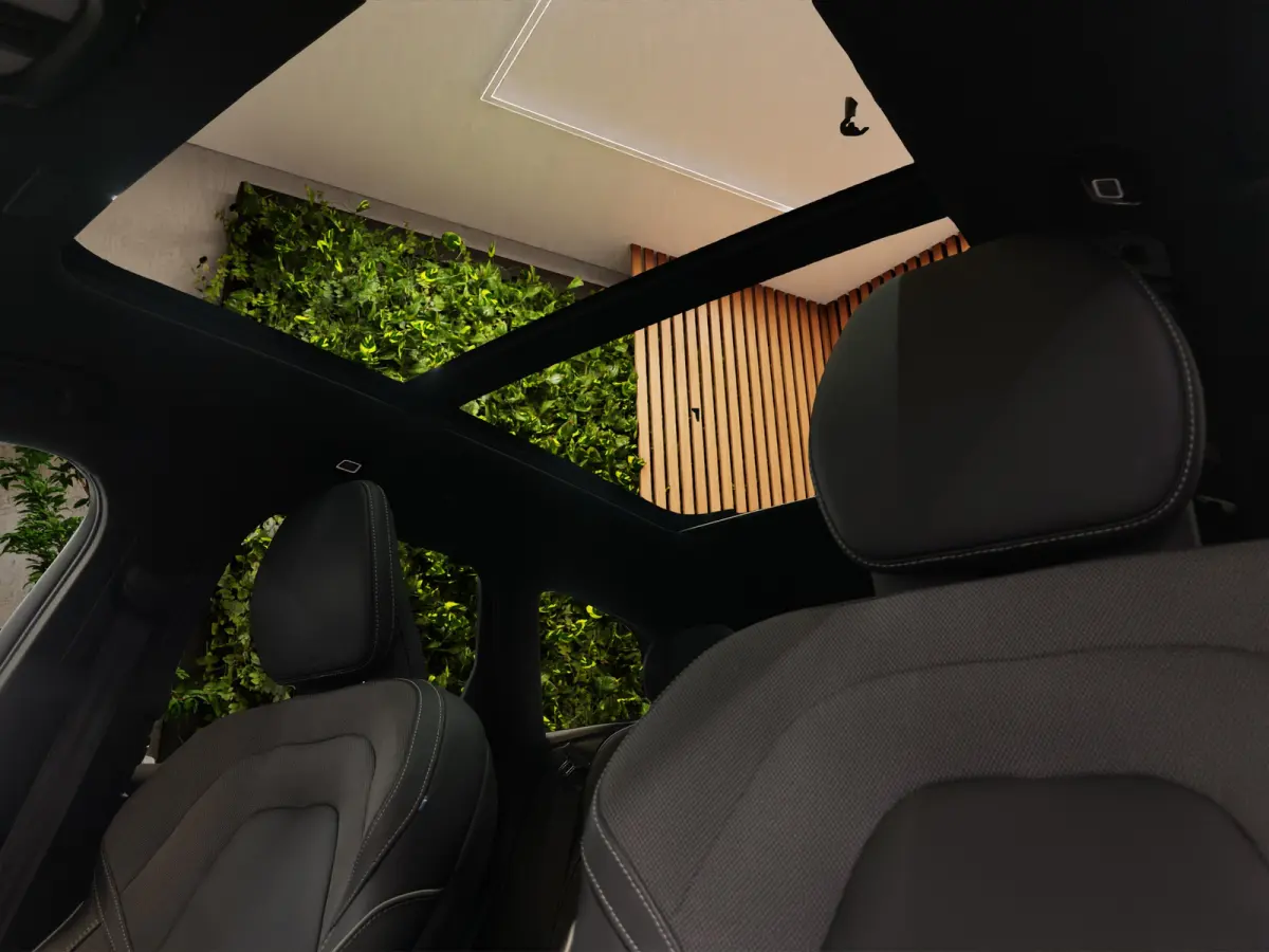 2.0 T6 Plug-in hybrid AWD Plus Black Edition
