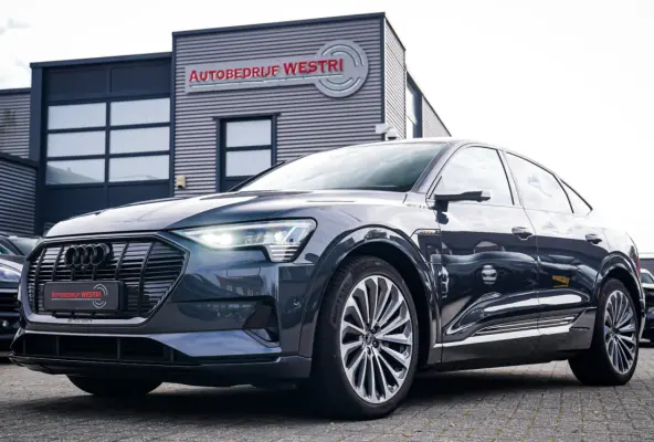 55 quattro S edition 95 kWh |Virtual Mirrors | Head up | Panorama | 360 cam | Trekhaak | Assistentiepakket |