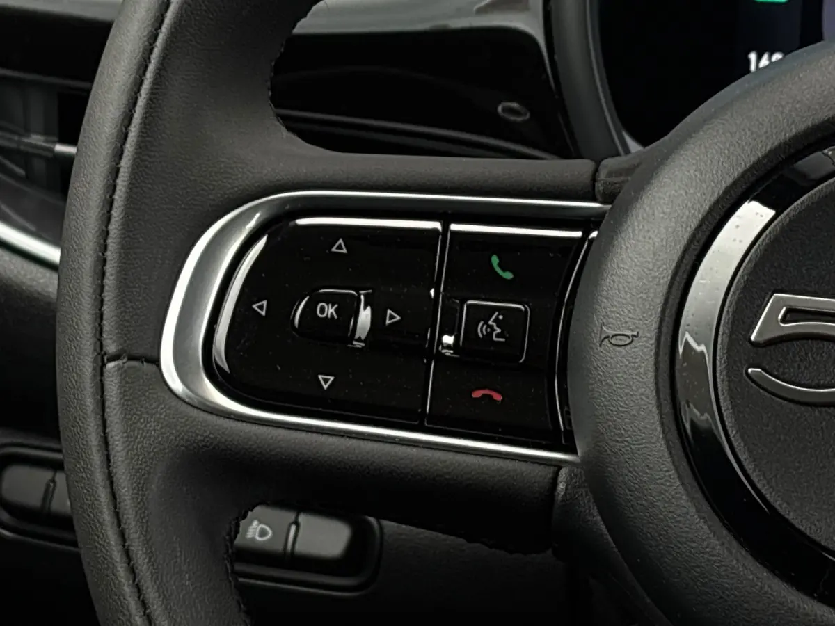 Limited 120 pk 42 KWh | SoH 95,69% | Climate control | Cruise control | Apple carplay |