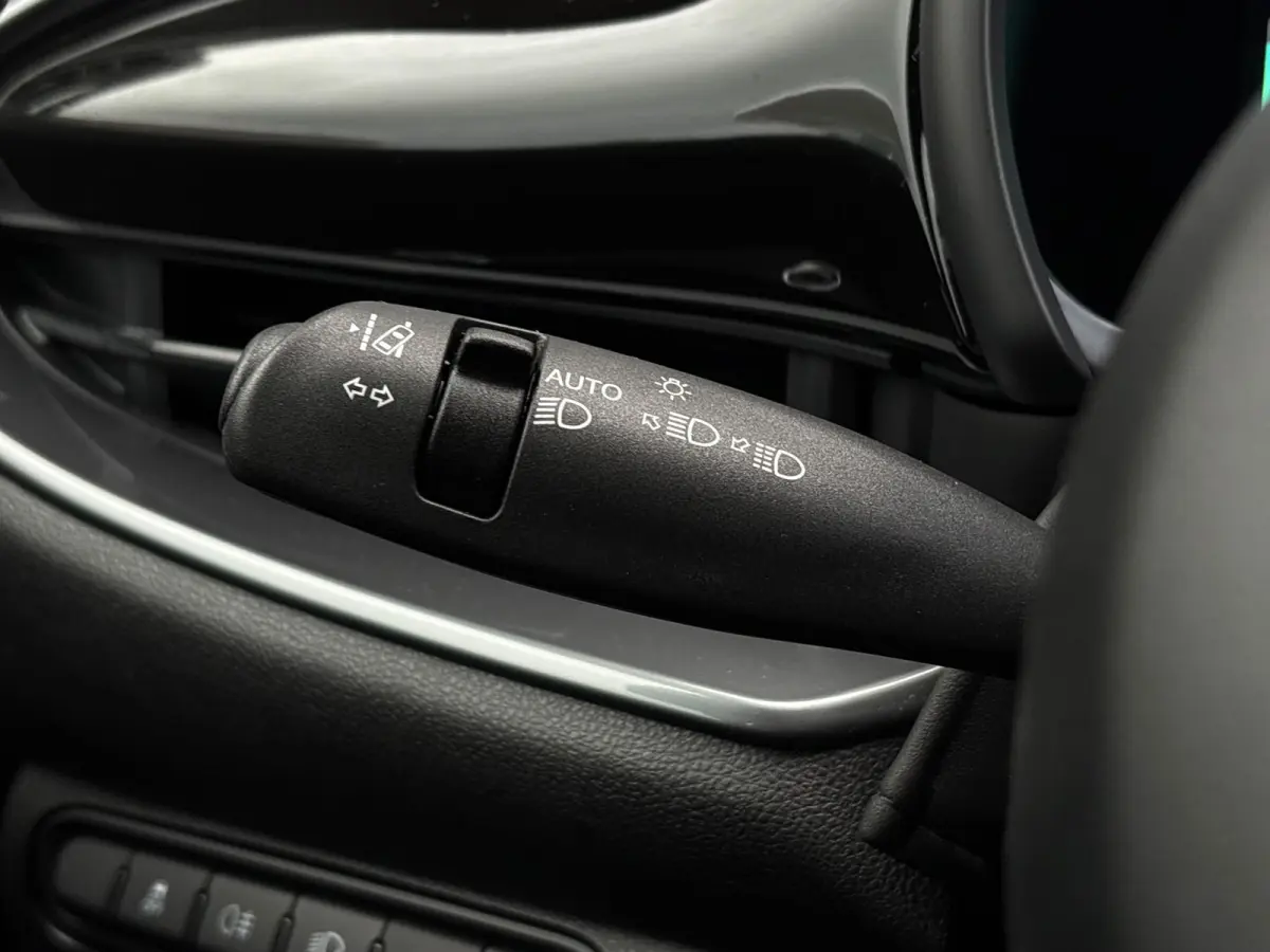 Limited 120 pk 42 KWh | SoH 95,69% | Climate control | Cruise control | Apple carplay |