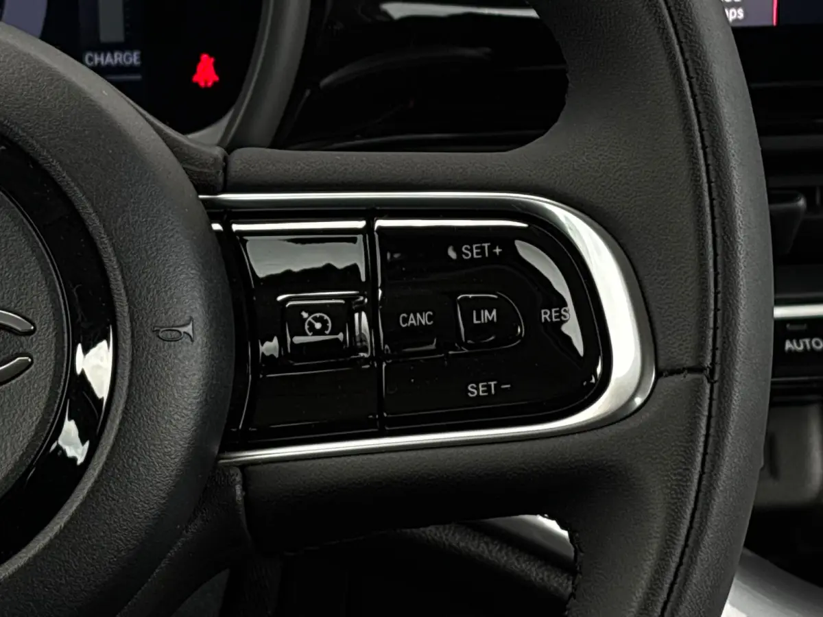 Limited 120 pk 42 KWh | SoH 95,69% | Climate control | Cruise control | Apple carplay |