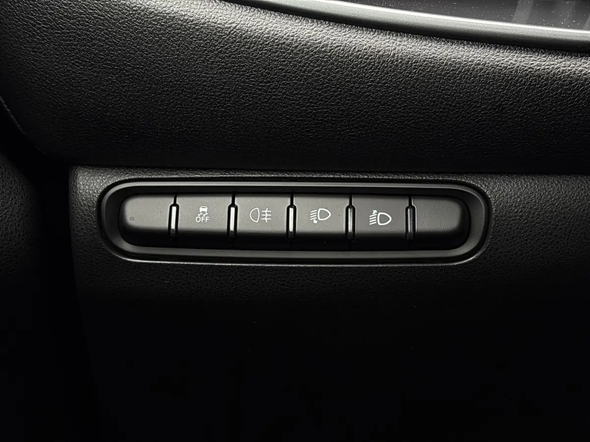 Limited 120 pk 42 KWh | SoH 95,69% | Climate control | Cruise control | Apple carplay |
