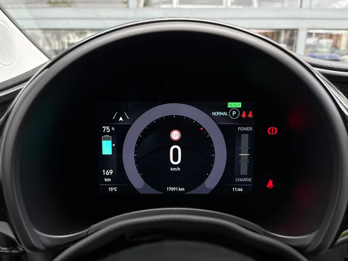 Limited 120 pk 42 KWh | SoH 95,69% | Climate control | Cruise control | Apple carplay |
