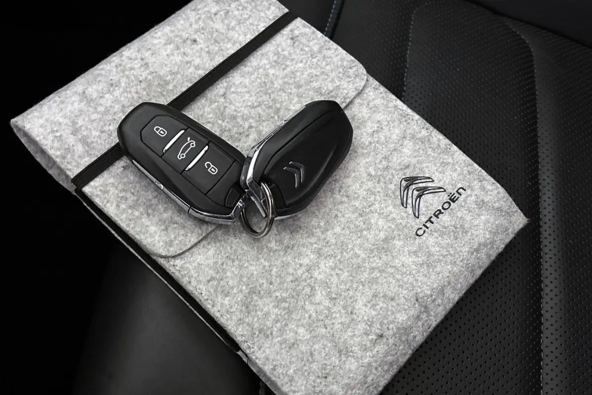 1.6 Plug-in Hybrid 225 Shine Panoramadak 360 Camera Massage Memory