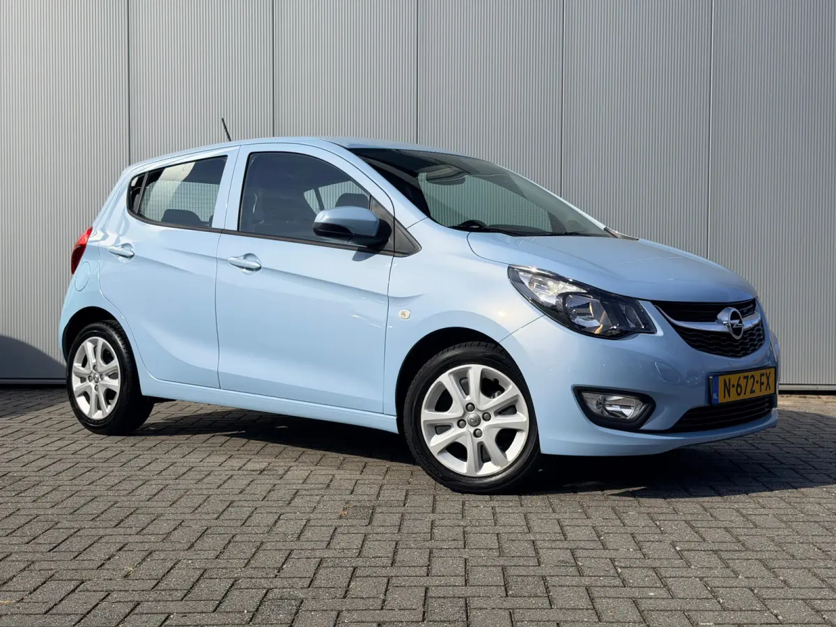 1.0 ecoFLEX Edition / Automaat / Stoelverwarming / Stuurverwarming / Parkeersensoren Achter / Unieke kleur! /