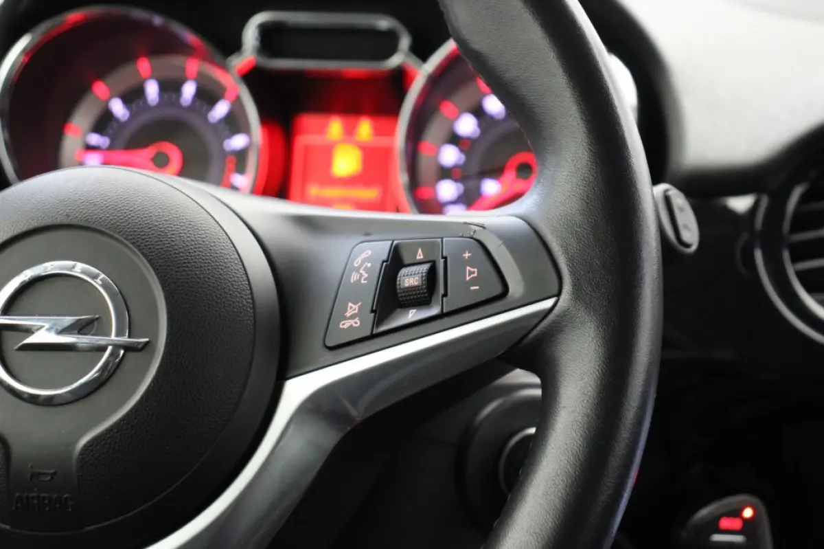 1.0 Turbo BlitZ - Carplay, Cruise, Stoel/Stuur verw. PDC