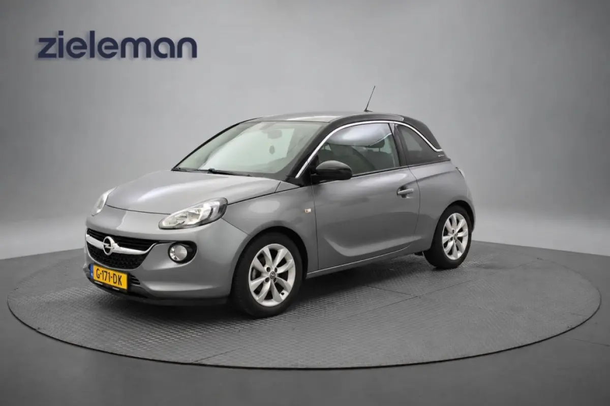 1.0 Turbo BlitZ - Carplay, Cruise, Stoel/Stuur verw. PDC