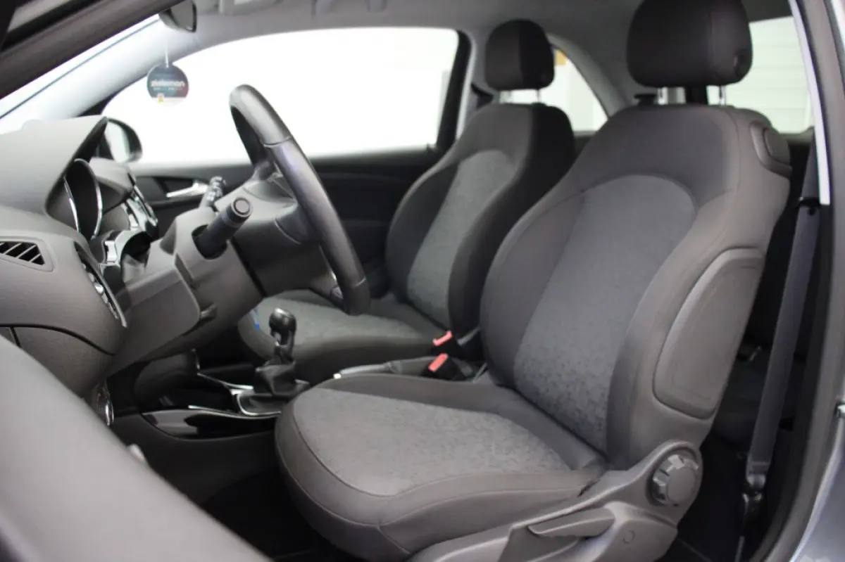 1.0 Turbo BlitZ - Carplay, Cruise, Stoel/Stuur verw. PDC