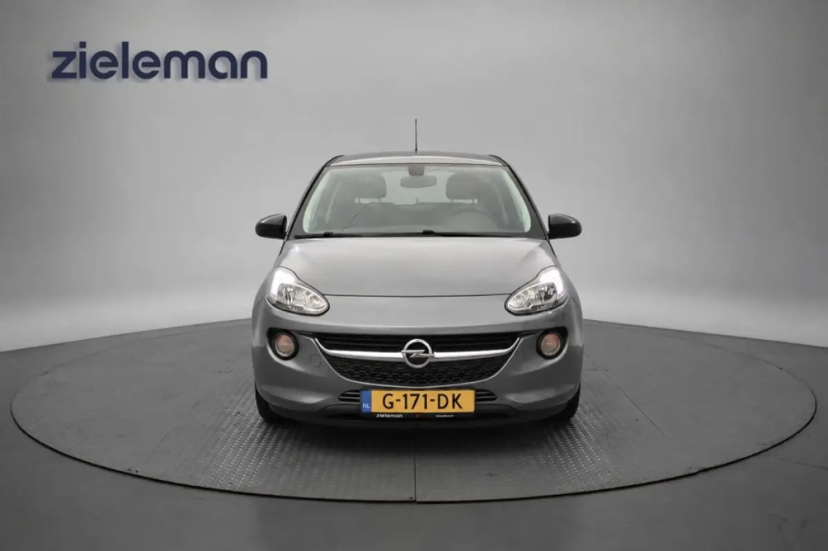 1.0 Turbo BlitZ - Carplay, Cruise, Stoel/Stuur verw. PDC