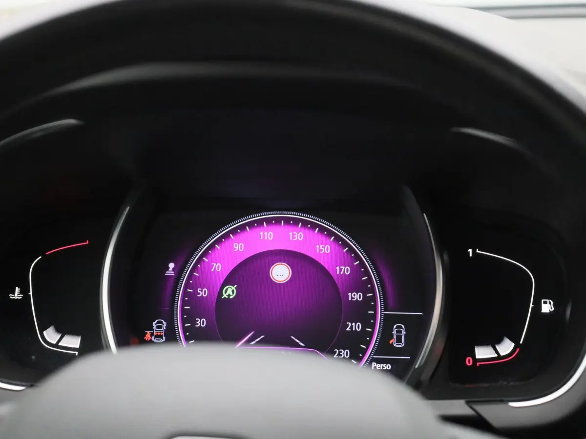 1.2 TCe Intens | Airconditioning | Cruise Control | Lederen Bekleding | Achteruitrijcamera | Trekhaak |